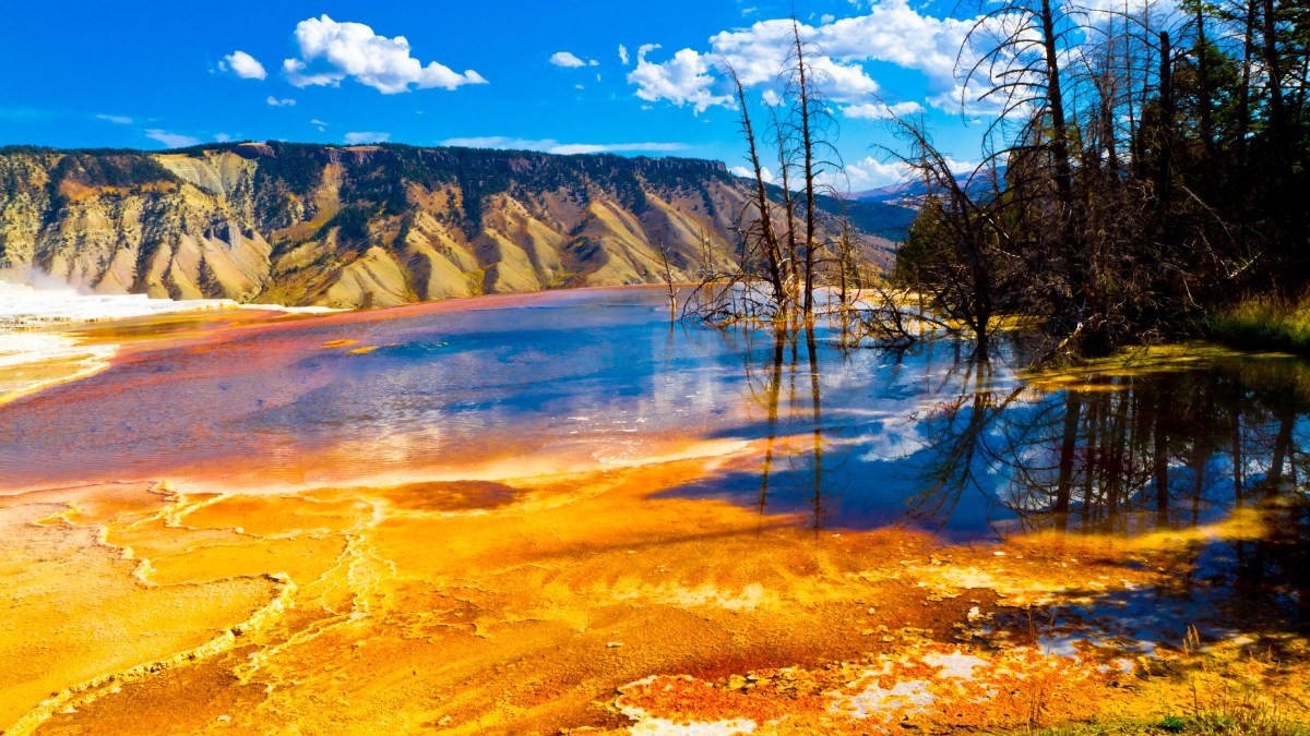 Narodowy Park Yellowstone Wyoming, USA