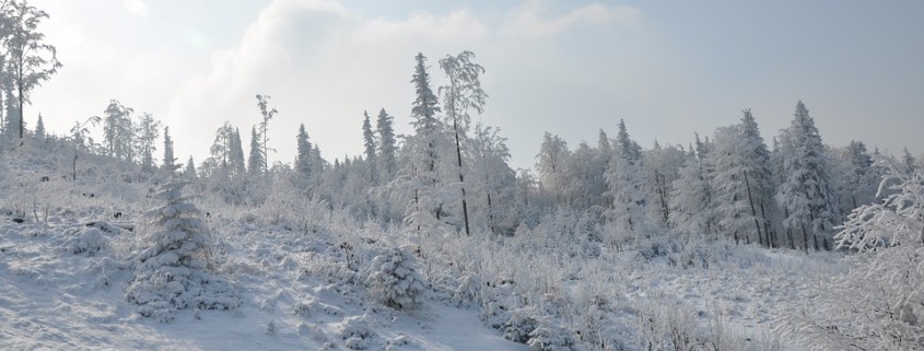 winter-217871_960_720