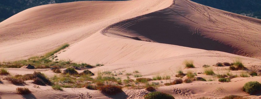 pink-sand-dunes-65310_1920
