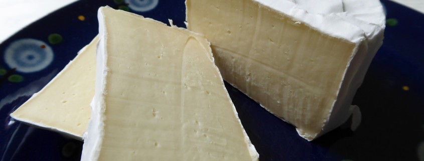 soft-cheese-822350_1920