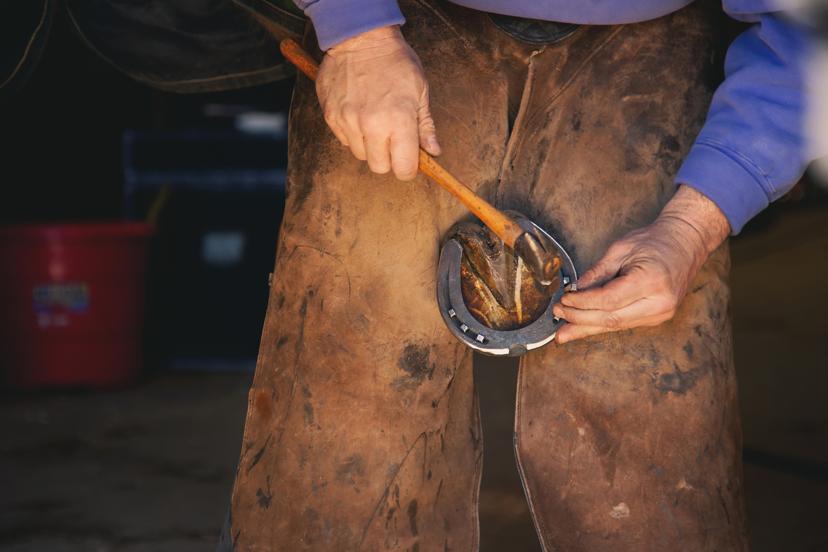 Detail of Farrier working his trade. Horse Hoof held in place while the craftsman positions new Horseshoe.