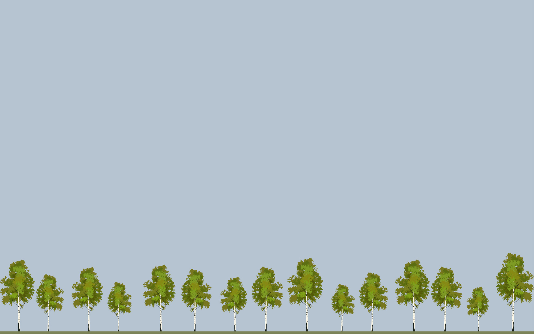 Wallpaper tree birch in springtime, vector