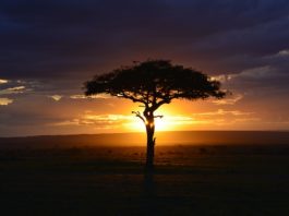 Popularne kierunki podróży na styczeń 2018